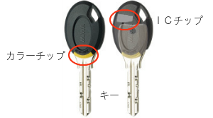 T2RK_sample