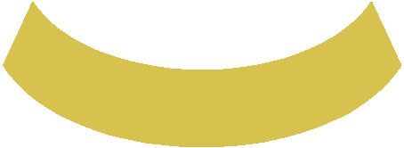 (4)黄