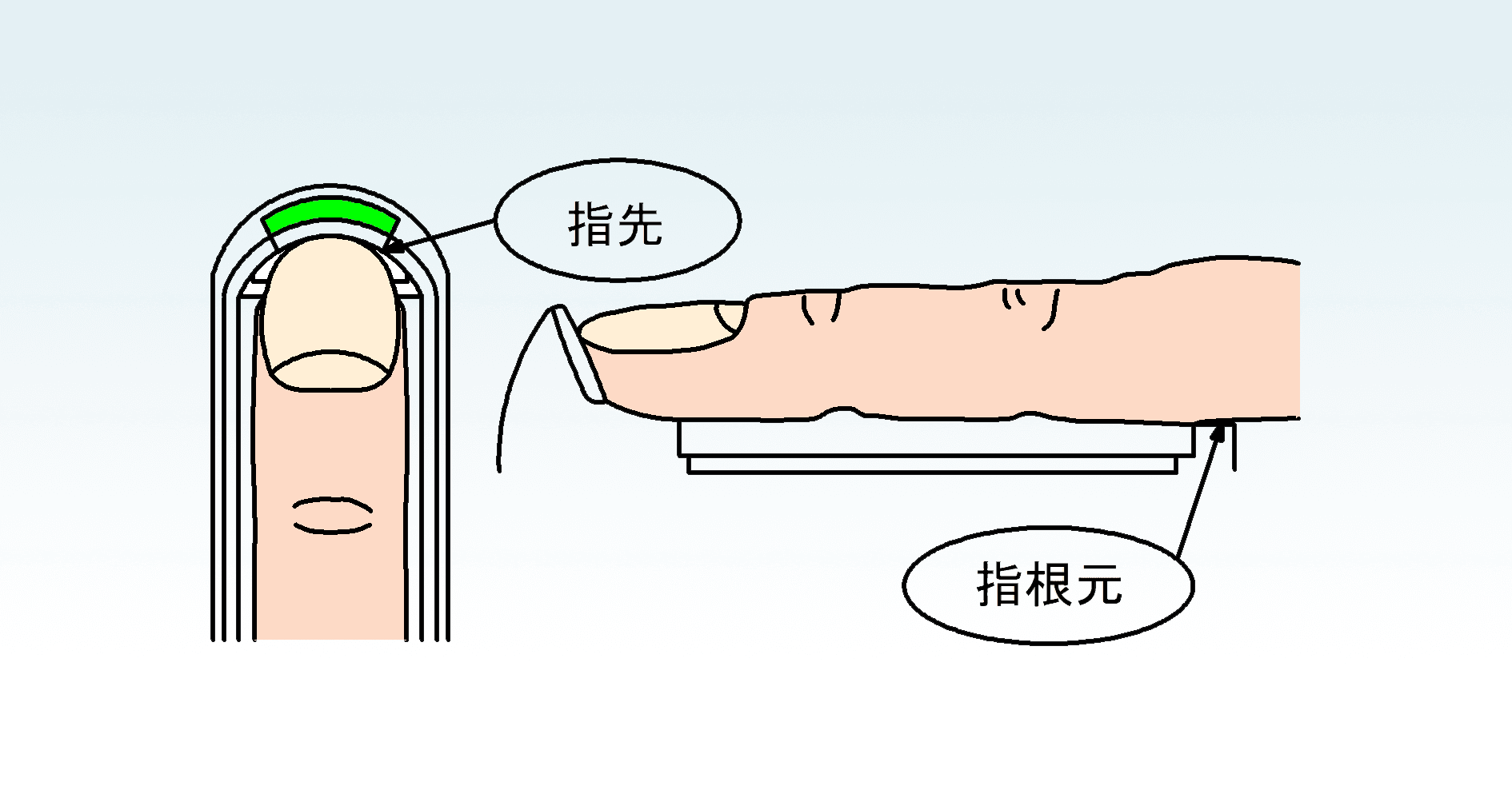 RDFV指の置き方